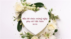 100+ Lời Chúc 20/10 Ý Nghĩa Nhất 2025 & Gợi Ý Quà Tặng Bếp Tinh Tế Dành Cho Phụ Nữ Việt